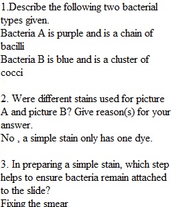 Group Activity - Simple Stain